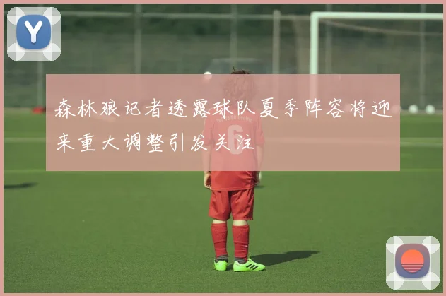 森林狼记者透露球队夏季阵容将迎来重大调整引发关注